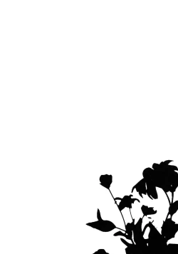 Page 48 of Rule of 0 part1,2,3