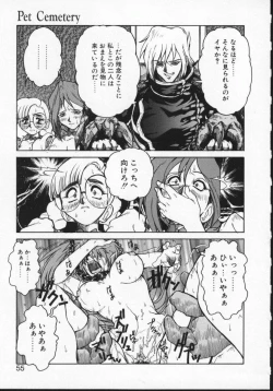 Page 54 of Viper V-1