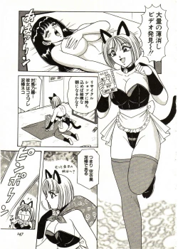 Page 147 of Itoshi no Bunny Maid