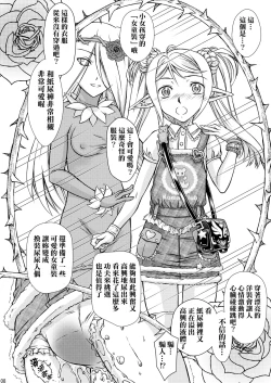 Page 9 of Elf no Himekishi ga Sotsugyou dekite Iru Hazu ga Nai