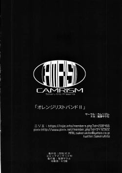 Page 42 of Orange Wristband II