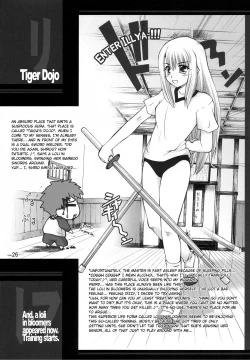 Page 25 of Winter in Einzbern