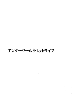 Page 45 of Touhou Ukiyo Emaki Sairokushuu 2