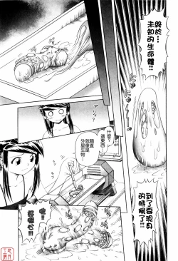 Page 11 of Himitsu No Hanazono