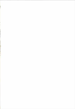 Page 2 of Diamond wa Netamanai