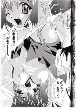 Page 15 of Gfestival