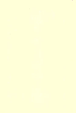 Page 3 of DIGI☆GIRLS