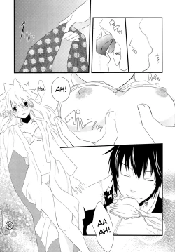 Page 19 of Dimorphotheca