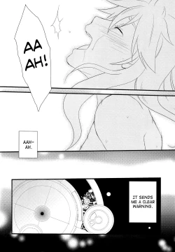 Page 26 of Dimorphotheca