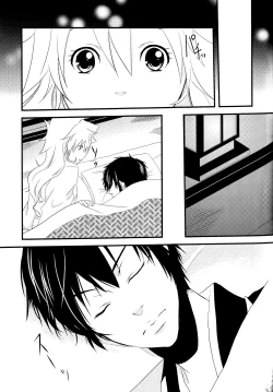 Page 27 of Dimorphotheca