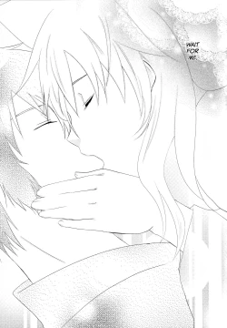 Page 31 of Dimorphotheca