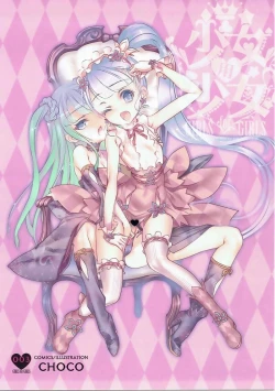 Page 2 of Shoujo You Shoujo