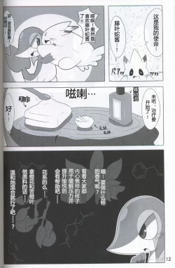 Page 13 of Pokéda | 宝可堕