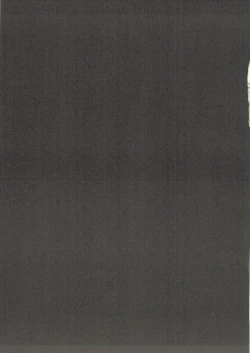 Page 16 of Daniku Massage Diet