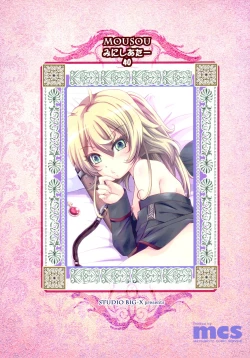 Page 2 of MOUSOU Mini Theater 40