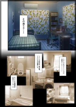 Page 17 of Jitaku Keibiin