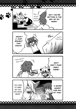 Page 19 of Matamata Cat