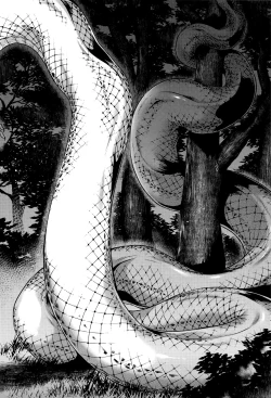 Page 95 of Hachishaku Hachiwa Keraku Meguri - Igyou Kaikitan