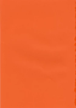 Page 23 of Fushigi Na Negima!