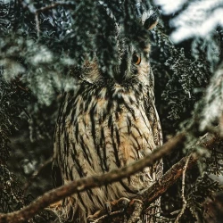 Page 24 of Summer Girl