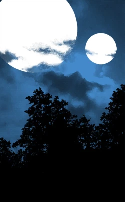 Page 24 of Reward Louise