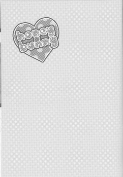 Page 3 of honey bunny