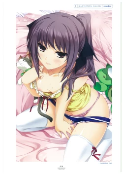 Page 18 of LOVELY CATION 1&2 VISUAL FAN BOOK