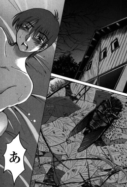 Page 160 of Monokage no Iris 2