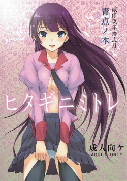 Page 1 of Hitagi ni Mitore