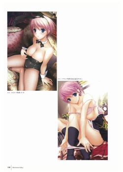 Page 148 of Walkure Romanze Visual Fan Book