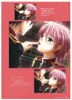 Page 45 of Walkure Romanze Visual Fan Book