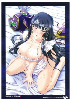 Page 11 of Ikusa Otome Valkyrie 2 Visual Fanbook