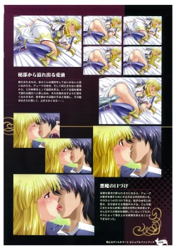 Page 67 of Ikusa Otome Valkyrie 2 Visual Fanbook