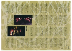 Page 190 of Muramasa