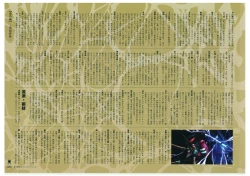 Page 191 of Muramasa