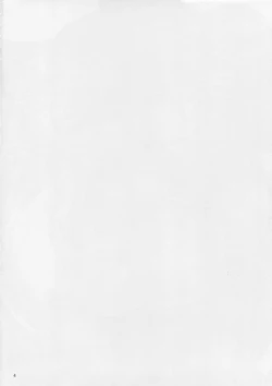 Page 3 of IRVING WALL