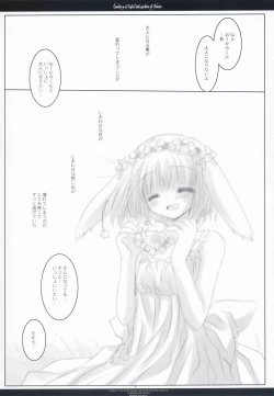 Page 14 of Country of light and garden of flower