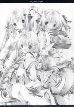 Page 30 of Country of light and garden of flower