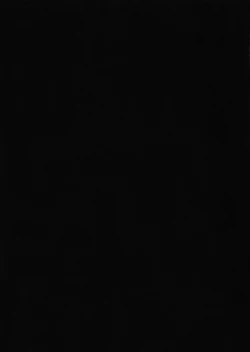 Page 3 of Hyaku Percent Osake No Sei