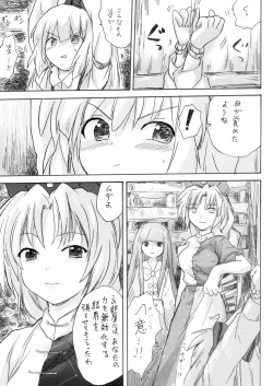 Page 5 of Hourai Ninshin