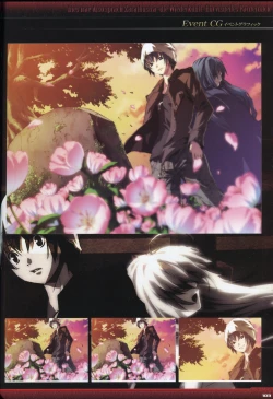 Page 105 of Dies irae Visual Fanbook - Black Book