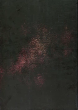 Page 164 of Dies irae Visual Fanbook - Black Book