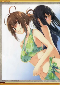 Page 101 of Dies irae Visual Fanbook - White Book