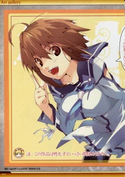 Page 103 of Dies irae Visual Fanbook - White Book