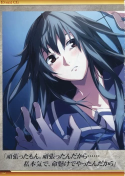 Page 133 of Dies irae Visual Fanbook - White Book