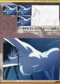 Page 164 of Dies irae Visual Fanbook - White Book