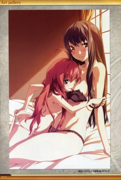 Page 53 of Dies irae Visual Fanbook - White Book