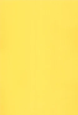 Page 3 of Hinnyuu Musume Vol.3