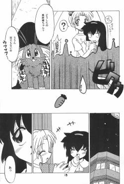 Page 15 of PMex.<Kanzenban>：Kyoushoujo Series