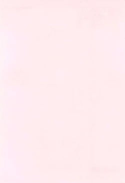 Page 2 of Wancho-ke Note P27